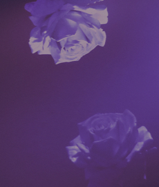 4 etapy związku, czyli jak ewoluuje miłość