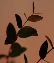 Jak przetrwać kryzys w związku?