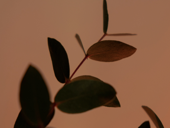 Jak przetrwać kryzys w związku?