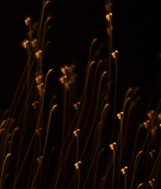 Jak radzić sobie z samotnością emocjonalną podczas świąt?