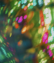 Bożonarodzeniowe miłości: spotkania i cuda