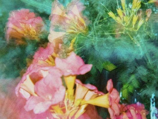 Sekrety miłości bez filtrów: sztuka kochania w dzisiejszych czasach