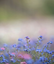 Greta Thunberg: siła kogoś, kto zaczyna od małego i zmienia świat
