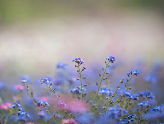 Greta Thunberg: siła kogoś, kto zaczyna od małego i zmienia świat