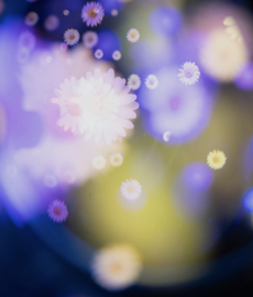 Między lajkami a wiadomościami: nowy język miłości