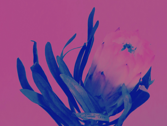 Date solo: jak polubić własne towarzystwo?